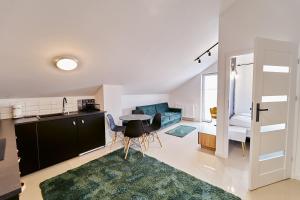 Kuchyňa alebo kuchynka v ubytovaní LAGUNA Apartament Polanica Residence 59 z klimatyzacją