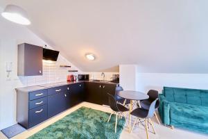 Kuchyňa alebo kuchynka v ubytovaní LAGUNA Apartament Polanica Residence 59 z klimatyzacją