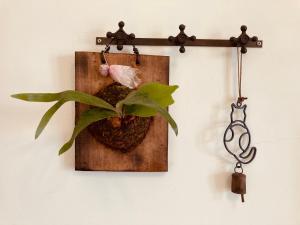 Fotografie z fotogalerie ubytování Feng Su v destinaci Donggang