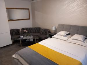 a bedroom with a large bed and a couch at VILA DAVISON in Târgu Jiu