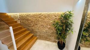 eine Treppe mit Ziegelwand und zwei Topfpflanzen in der Unterkunft Apartamentos GADIR CENTRO in Cádiz