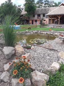 einen Teich mit Blumen und Steinen im Hof in der Unterkunft Seosko domaćinstvo-Nedodjija in Apatin
