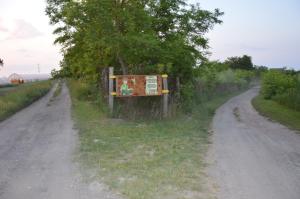 Příroda nedaleko venkovského domu