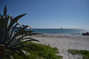 Afbeelding uit fotogalerij van Les Hauts de Pinarello in Sainte-Lucie de Porto-Vecchio