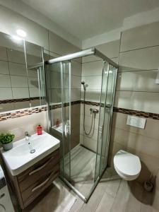 La salle de bains est pourvue d'une douche, de toilettes et d'un lavabo. dans l'établissement Syrah Wellness Apartman Siófok, à Siófok