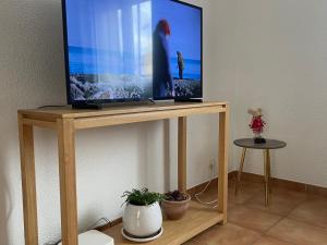 Elle comprend une télévision à écran plat installée au-dessus d'un support en bois. dans l'établissement Confortable villa de vacances entre Nîmes, le Pont du Gard, Uzès, Arles, Avignon, à Marguerittes