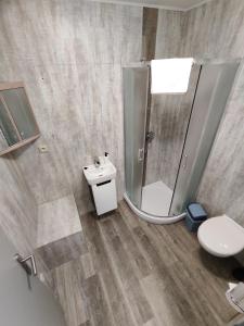 een badkamer met een douche, een toilet en een wastafel bij Hotel Stará Škola in Mezná