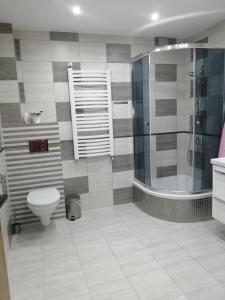 Kúpeľňa v ubytovaní Noclegi Janina Surmacz