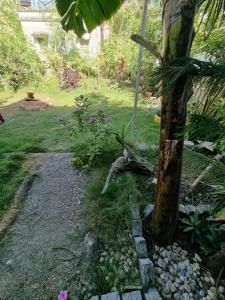 a garden with a palm tree and some rocks at Dream Vision Guest House in Diu
