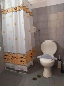 a bathroom with a toilet and a shower curtain at ASTIR COSY LIVING HOTEL in Agios Konstantinos