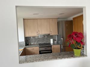 a kitchen with wooden cabinets and a vase with a plant at Ático en Cubelles playa in Cubelles