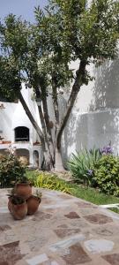 un giardino con un albero e alcune piante e un edificio di LOS SUEÑOS DE BUENDÍA a Buendía