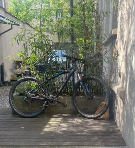 Jazda na bicykli v okolí ubytovania Loft Crimea con patio