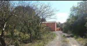 Fotografia z galérie ubytovania La Villa Michèle, domaine sur les hauteurs de Pézenas v destinácii Pézenas