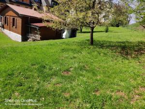 Zahrada ubytování Ferienwohnung Grete, an der Weinstraße