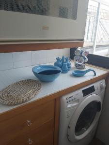 a kitchen counter with a washing machine and blue dishes at La portuense in Castro di Lecce