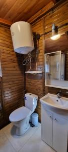 Kúpeľňa v ubytovaní Domek "U Pszczelarza" + 26 fotografií