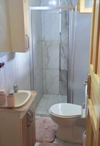a bathroom with a shower and a toilet and a sink at Fidelya Bungalow Evleri in Adrasan