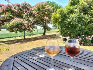two glasses of wine sitting on a wooden table at le Pigeonnier gersois in Condom +6 photos