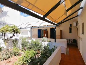 a view of the garden from the courtyard of a house at Perdika Mare Guesthouse in Perdika