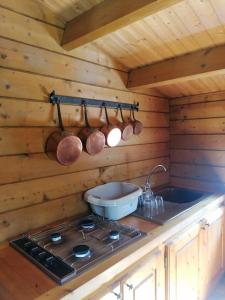 a kitchen with a stove and a sink in a cabin at Chalet en pleine nature au bord d'un étang in Lanvallay