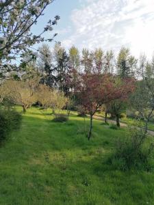 Vonkajšia záhrada v ubytovaní Chalet en pleine nature au bord d'un étang