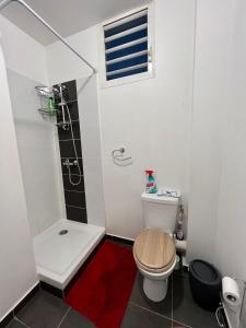 a small bathroom with a toilet and a shower at HomeStay Chambre Privée à Cayenne dans une maison de ville avec Piscine in Cayenne