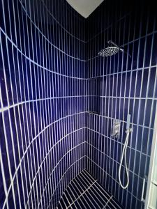 a blue tiled bathroom with a shower with a hose at A CASA DI ELI in Lecce