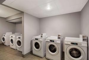 Fotografie z fotogalerie ubytování Quality Inn v destinaci Houston