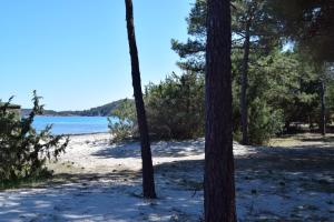 uma praia arenosa com árvores e água em Les Hauts de Pinarello em Sainte-Lucie de Porto-Vecchio