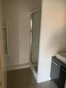 een badkamer met een douche en een wastafel bij Appartement 4 personnes in Narbonne