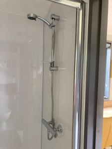 a shower with a glass door in a bathroom at Atlantic Way Shepherd Hut in Moville