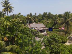 a house in the middle of a forest of palm trees at DiNi Galle in Galle