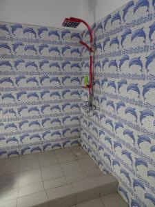a bathroom with a shower with blue and white walls at La Mangrove Villa paisible dans un cadre luxuriant in Cap Skirring