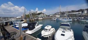 um grupo de barcos ancorados num porto em Rare luxury Harbourview apartment sleeps 6 em Torquay