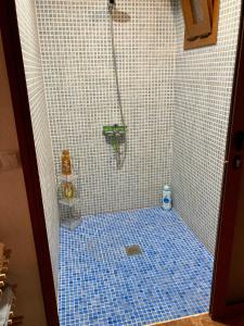 uma casa de banho com um chuveiro e piso em azulejo azul em Casa Cueva - L&L em Santa Cruz de Tenerife