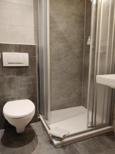 een badkamer met een douche, een toilet en een wastafel bij Alt Reinsport in Piesport