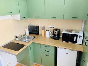 クルジュ・ナポカにあるCentral Cozy Apartmentのキッチン(緑のキャビネット、シンク、電子レンジ付)