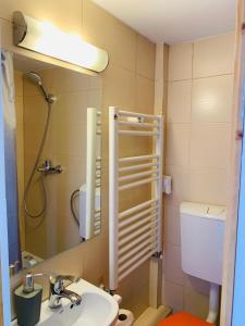 une salle de bain avec un lavabo, des toilettes et un miroir dans l'établissement Central Cozy Apartment, à Cluj-Napoca