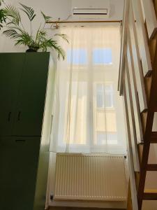 une fenêtre dans une pièce avec un radiateur et une plante dans l'établissement Central Cozy Apartment, à Cluj-Napoca
