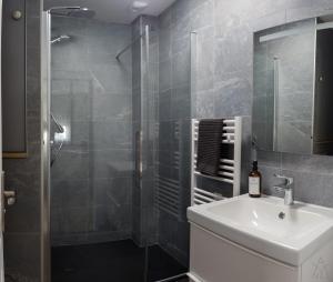 een badkamer met een wastafel en een douche bij Appartement - Le Petit Loft - in Tarbes