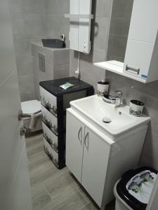 mała łazienka z umywalką i toaletą w obiekcie Apartman Andrijana w mieście Vrnjačka Banja