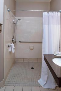 y baño con ducha y lavamanos. en Springhill Suites by Marriott Frankenmuth, en Frankenmuth