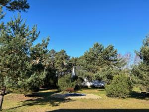 a park with trees and grass with a blue sky at Ferienpark Buntspecht Apartment A in Pruchten +2 photos