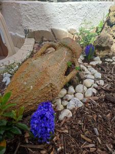 Giardino di B&B Lety