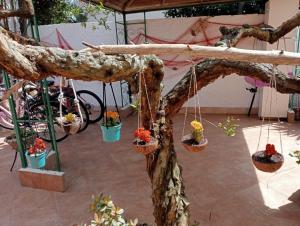 Giardino di B&B Lety