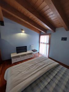 una camera con un grande letto e una TV a parete di Les Maisons des Fleurs a San Bartolomeo