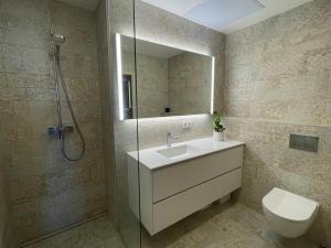 ein Bad mit einem Waschbecken, einer Dusche und einem WC in der Unterkunft Rannakivi Penthouse in Pärnu