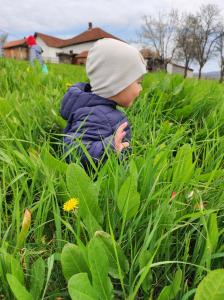 ein kleines Kind, das auf einem Feld voller Gras sitzt in der Unterkunft Dedina kuća in Gornji Milanovac