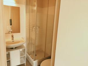 une salle de bain avec douche et lavabo dans l'établissement L'Abri - Focalimmo (centre Foix), à Foix
